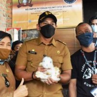 Wakil Bupati Kuningan, H. M Ridho Suganda, SH., M.Si saat melakukan kunjungan ke Kelompok Peternak Muda (KPM) Farm Jaya Rabbitry, di Desa Bojong, Kecamatan Cilimus, 